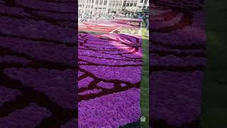 Brussels historic square decorated with flower carpet [upl. by Aicitan]