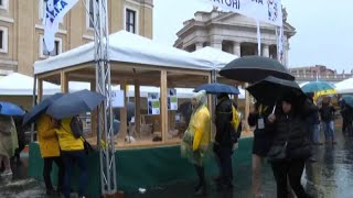 In piazza San Pietro la tradizionale benedizione degli animali [upl. by Nyltak]