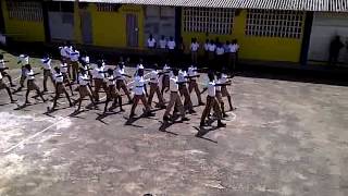 NIB DRILL TEAM ST ANN DIV [upl. by Inava]