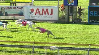 CapalabaSunday01092024Race11 [upl. by Crosley]