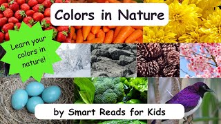 Colors in Nature Learn colors using things in nature Pre K Kindergarten color identification [upl. by Jolyn]