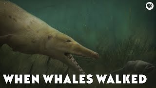 When Whales Walked [upl. by Yrian]