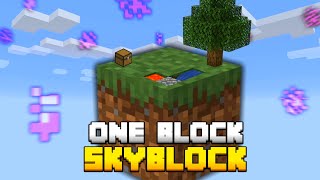 Minecraft Skyblock But You Only Get ONE BLOCK [upl. by Carl817]