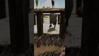 How To Tame A Hesperornis In Ark Survival Evolved shorts ark [upl. by Edris]