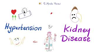 Hypertension amp Kidney Disease  Renovascular Hypertension vs Hypertensive Nephropathy [upl. by Kim8]