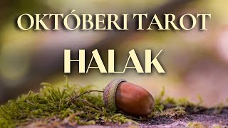 ♓️ HALAK – VÁRD KI A MEGFELELŐ PILLANATOT  2024 OKTÓBERI TAROT [upl. by Yttel]