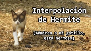 CLASES DE RANCHO Interpolación de Hermite [upl. by Nodnelg]