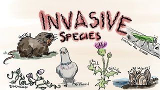 What Are Invasive Species [upl. by Radke]