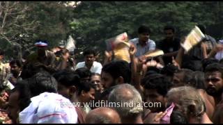 Thrissur Pooram Public festivals of Kerala [upl. by Woodrow647]