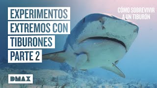 5 experimentos para sobrevivir al ataque de un tiburón  Parte 2  Tiburones [upl. by Kera39]