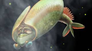 Ancient swimming ‘taco’ had ‘bug jaws’ new fossils show [upl. by Carlock488]