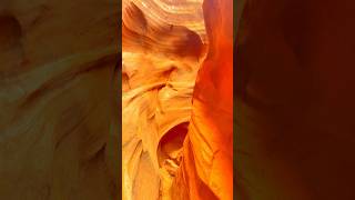 Journey Through the Spiral Canyon Antelope Canyon’s Natural Wonders  Arizona [upl. by Ennairac]