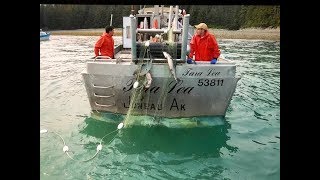 Southeast Alaska Commercial Salmon Fishing deckhand edit [upl. by Crista]