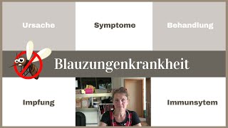 Blauzungenkrankheit  Ursache  Symptome  Behandlung  Impfung  Immunsystem  Fallbeispiel Schafe [upl. by Ynos]