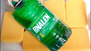 🌲 ASMR GALLON OF PINALEN 🌲 [upl. by Isidro]