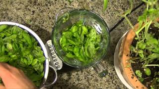 How to make pesto from fresh basil without nuts [upl. by Soph]