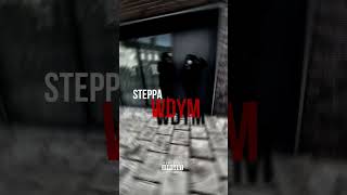 steppa  WDYM official audio [upl. by Barron492]