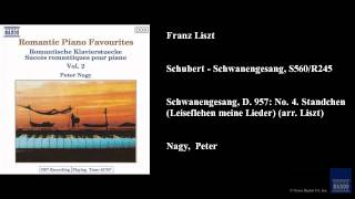 Franz Liszt Schubert  Schwanengesang S560R245 [upl. by Woolley]