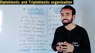 Diploblastic organization and Triploblastic organization  Difference  AsimZoologist [upl. by Obelia]