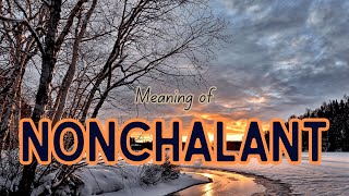 What is the meaning of Nonchalant [upl. by Haneehs]