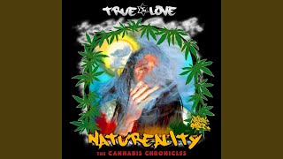 Plant Good Seed feat Likkle Mda amp Herbalist [upl. by Terrie851]