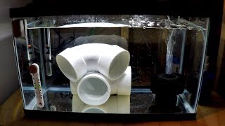 how to setup a quarantine tank for new saltwater fish [upl. by Airalav]