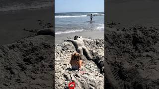 Kid’s sand Masterpiece comes alive with waves 🌊 shortsvideo [upl. by Benetta676]