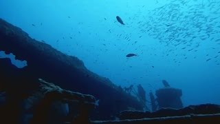 Malta Dive Sites  HMS Hellespont [upl. by Nevak513]