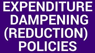 Expenditurereducing policy [upl. by Arondel11]