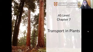 Chap 7 Part 1a  Plant Anatomy Xylem and Phloem  Cambridge ALevel 9700 Biology [upl. by Marley]