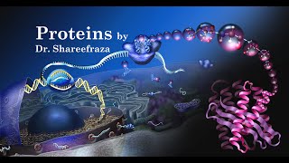 Biology for Engineers Module 1 Proteins [upl. by Eolcin]