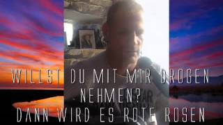 willst du mit mir drogen nehmen cover [upl. by Eldreda]