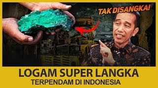 TERLANGKA DIDUNIA🔥 INILAH HARTA KARUN YANG DIINCAR ASING❗ “TERNYATA ADA DI INDONESIA” [upl. by Rosane]