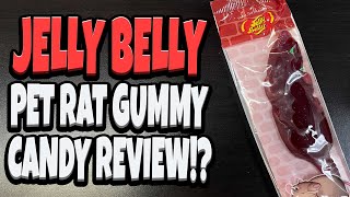 Pet Rat Gummy Candy  Review [upl. by Sayed]