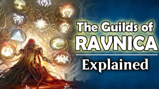 The Guilds of Ravnica Explained  Magic the Gathering Lore [upl. by Holly]