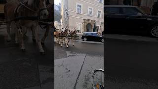 Horses Walking The Streets Of Salzburg 🐴 [upl. by Lucais]