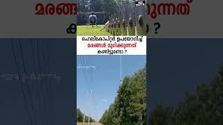 ഹെലികോപ്റ്റർ ഉപയോഗിച്ച് മരങ്ങൾ മുറിക്കുന്നത് കണ്ടിട്ടുണ്ടോ  Helicopter tree line trimming [upl. by Airolg871]