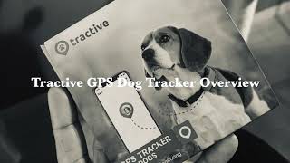 Tractive GPS Tracker for Dogs [upl. by Grigson501]