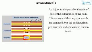 axonotmesis [upl. by Gisser]