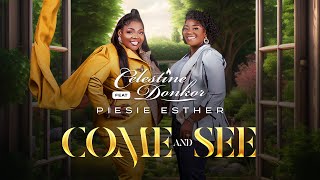 Celestine Donkor  Come and See Ft Piesie Esther [upl. by Dry230]