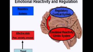 Introduction to the neuroscience of emotions [upl. by Debbee127]