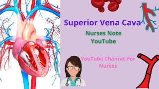 Superior Vena Cava Cardiovascular System SVC Obstruction  Superior Vena Cava Nurses Note YouTube [upl. by Armil]