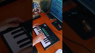 Bizarre Inc  Im Gonna Get You Live Loop Cover  Minilab 3 ableton synthmusic [upl. by Aicissej380]