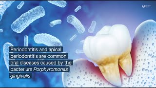 CXXC5 promotes cementogenesis protects against periodontitis by supporting mitochondria formation [upl. by Turoff]