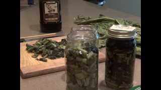 COMFREY OIL INFUSION  EASY HOW TO COLD INFUSION [upl. by Eadith]