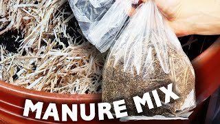 How to Make Mushroom Grow Bags – Horse Manure ReMix – Cow Dung Recipe with Proven Results [upl. by Scales]