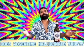 Absente Absinthe 110 Proof Review  Hallucination Drink [upl. by Hoopes]