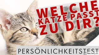 😺 Welche Katze passt zu dir Persönlichkeitstest 😺 [upl. by Tilla]