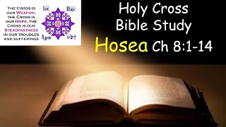 Hosea Bible Study Hosea Ch 8114 5222024 [upl. by Daffie]