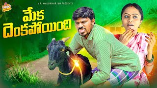 మేక దెంకపోయింది MEKA DENKAPOYINDI VILLAGE COMEDY SHORT FILM MOUNIKAYADAV MRMALLIKHARJUN [upl. by Ynnam]